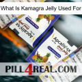 What Is Kamagra Jelly Used For 12